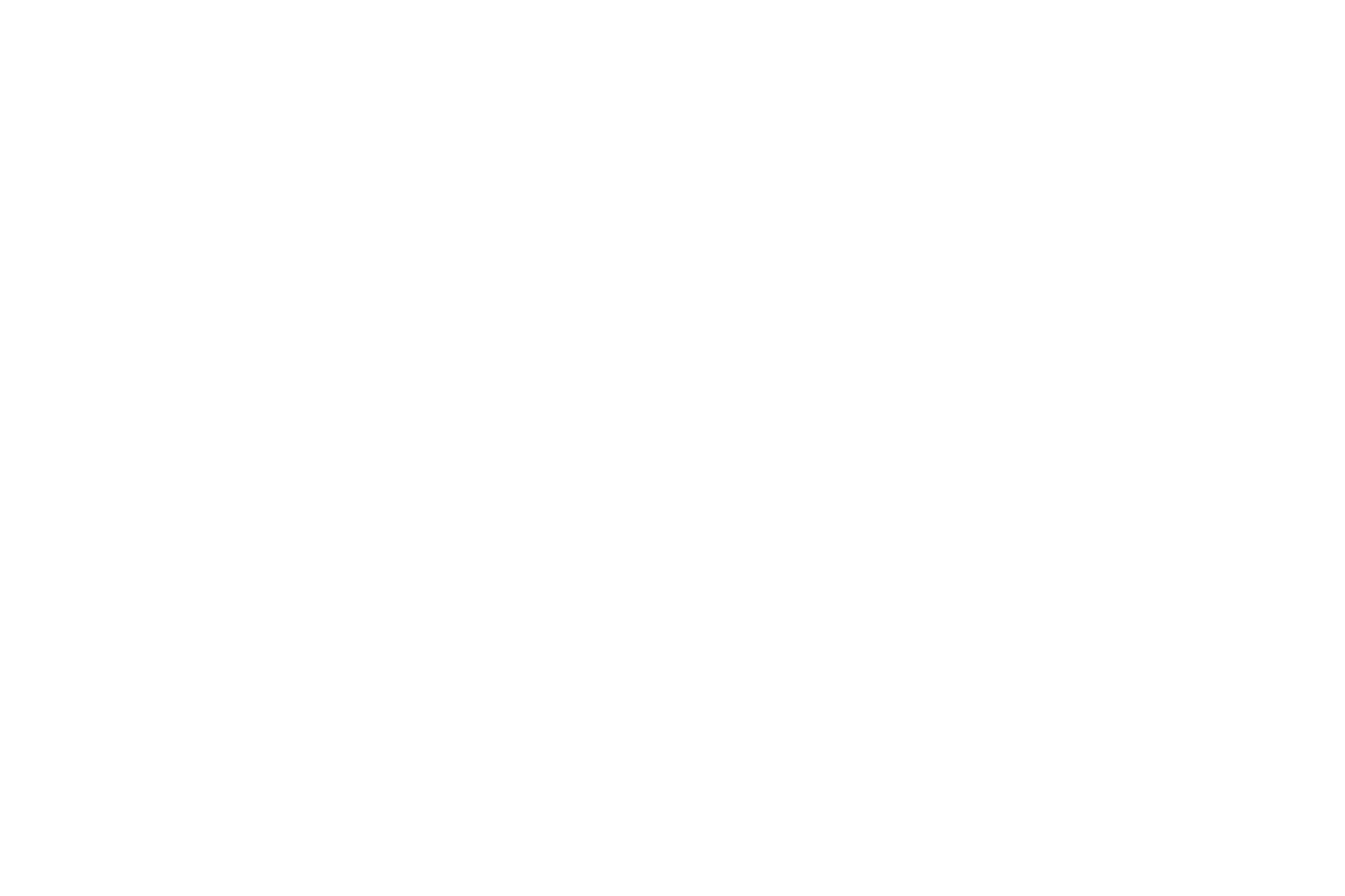 Warudo Logo